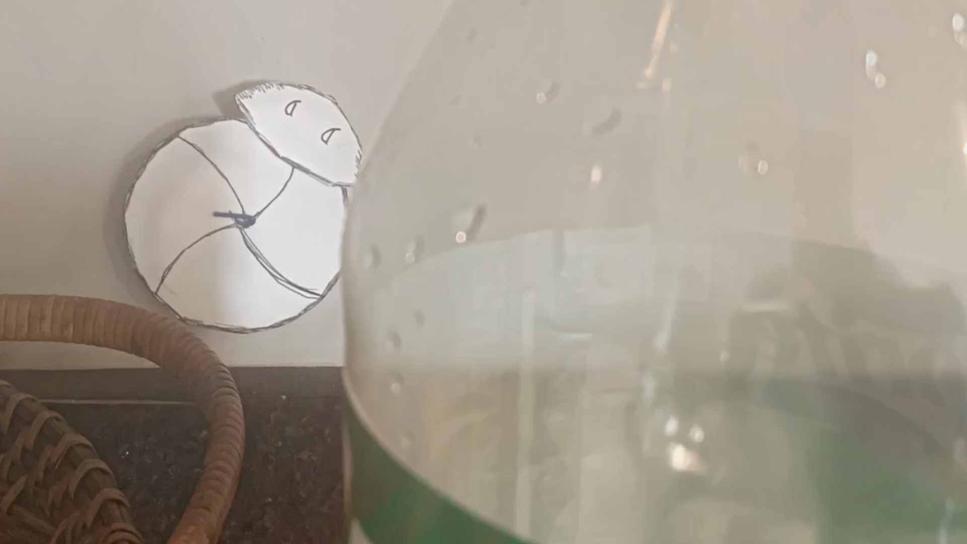 Rollo in the Kitchen (Stop Motion)